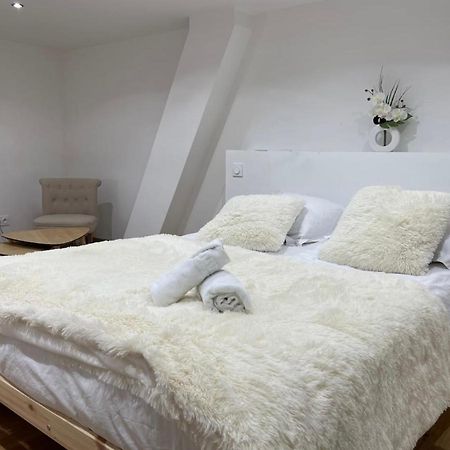 Le Duplex - Gare / Tram / Netflix Daire Fontaine  Dış mekan fotoğraf