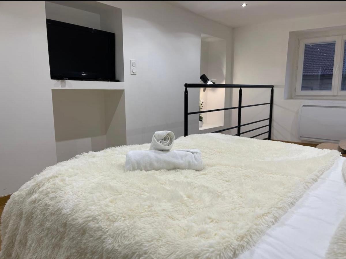Le Duplex - Gare / Tram / Netflix Daire Fontaine  Dış mekan fotoğraf